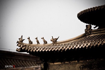 仙人走兽