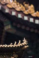 仙人走兽