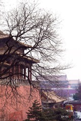 午门