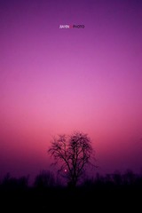 黄昏