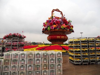 绿帽子