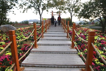 老汉