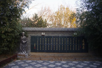 虞美人