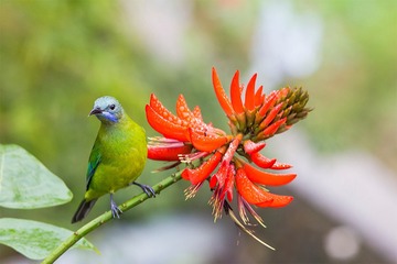 “IMG_1325”为智能对象-1