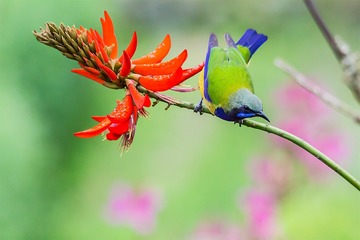 “IMG_1978”为智能对象-1