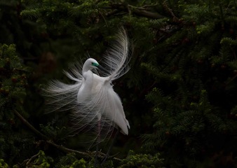 复件 “IMG_2860”为智能对象-10125410