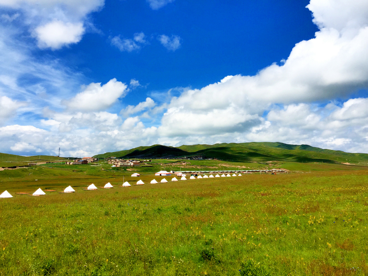 夏日的甘肃甘南大草原景色