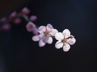 1236571