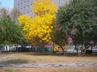 20040103_01