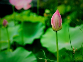 D03480C9-A6AD-4115-8D97-071C31E5A632