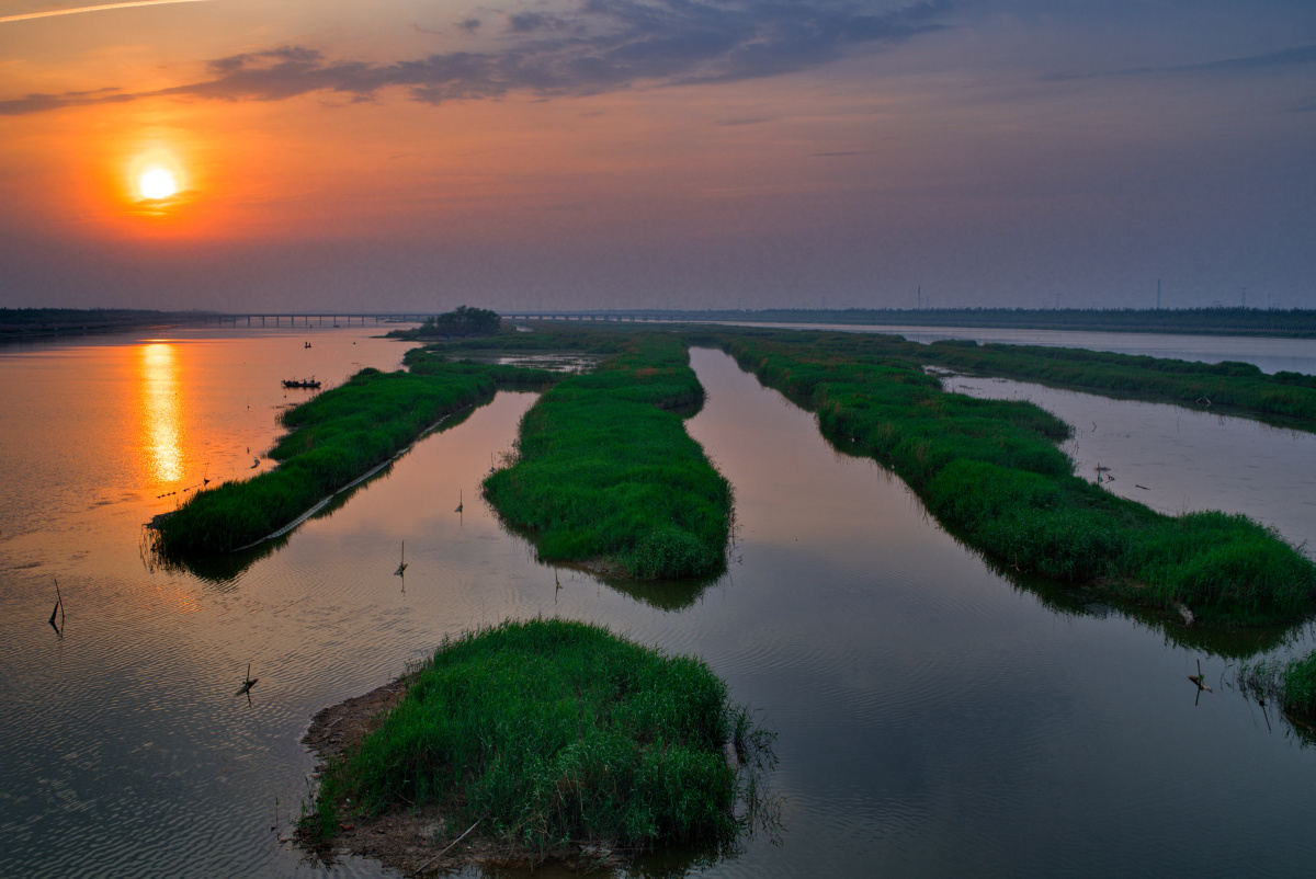 独流减河的夏天