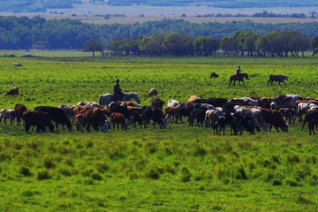IMGP5213_2