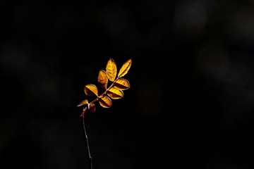 1060280