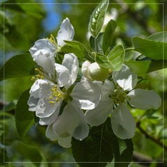 34CD6FB9-D28C-4613-9EC0-A08E5E93D1AB/L0/001