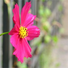 BF5E3520-9B51-48A6-A275-0C1BB79B08A8/L0/001