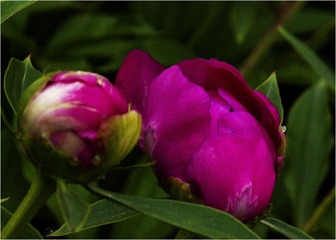 28A1E796-7DAE-4EB9-B983-BB23D25FF88E/L0/001