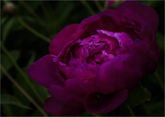 906E032E-6DA4-4827-8F2D-643CEC1EF3FD/L0/001