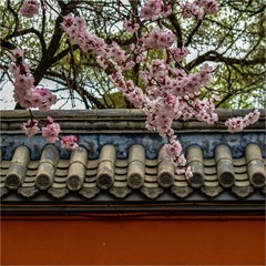 A08417A8-755B-440B-A159-052912F8BBAE/L0/001