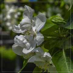 8B326B5C-3CEC-4C8E-A148-4D8F0BC78FD5/L0/001