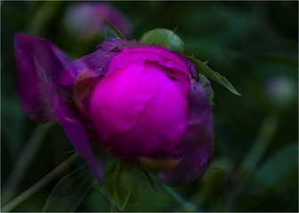 C769D782-5074-426A-BD68-6BFC5A7058AE/L0/001