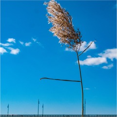 0FBF6176-68A1-4D0F-8089-B0954B34C620/L0/001