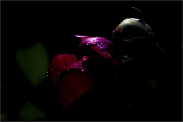 A7B4AB69-67AB-4F40-964B-79696C2D0915/L0/001