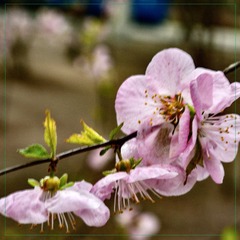C0EC4A62-1B38-44B7-B916-7775AE888542/L0/001