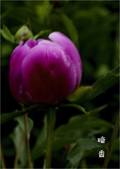 7D752FE3-D08A-419E-97B7-71ADD23CA747/L0/001