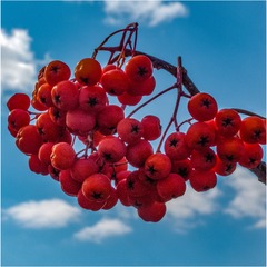 7B1F30BA-C80C-43AF-827D-73B5ABDA285E/L0/001