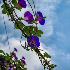 A1CC258B-C514-482E-BF0A-8D67310FDDA1/L0/001