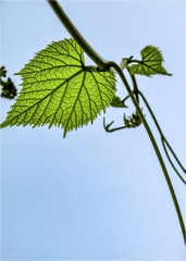 75F1F8E2-65DB-4DC4-BA0A-F3C2E70A1ACD/L0/001