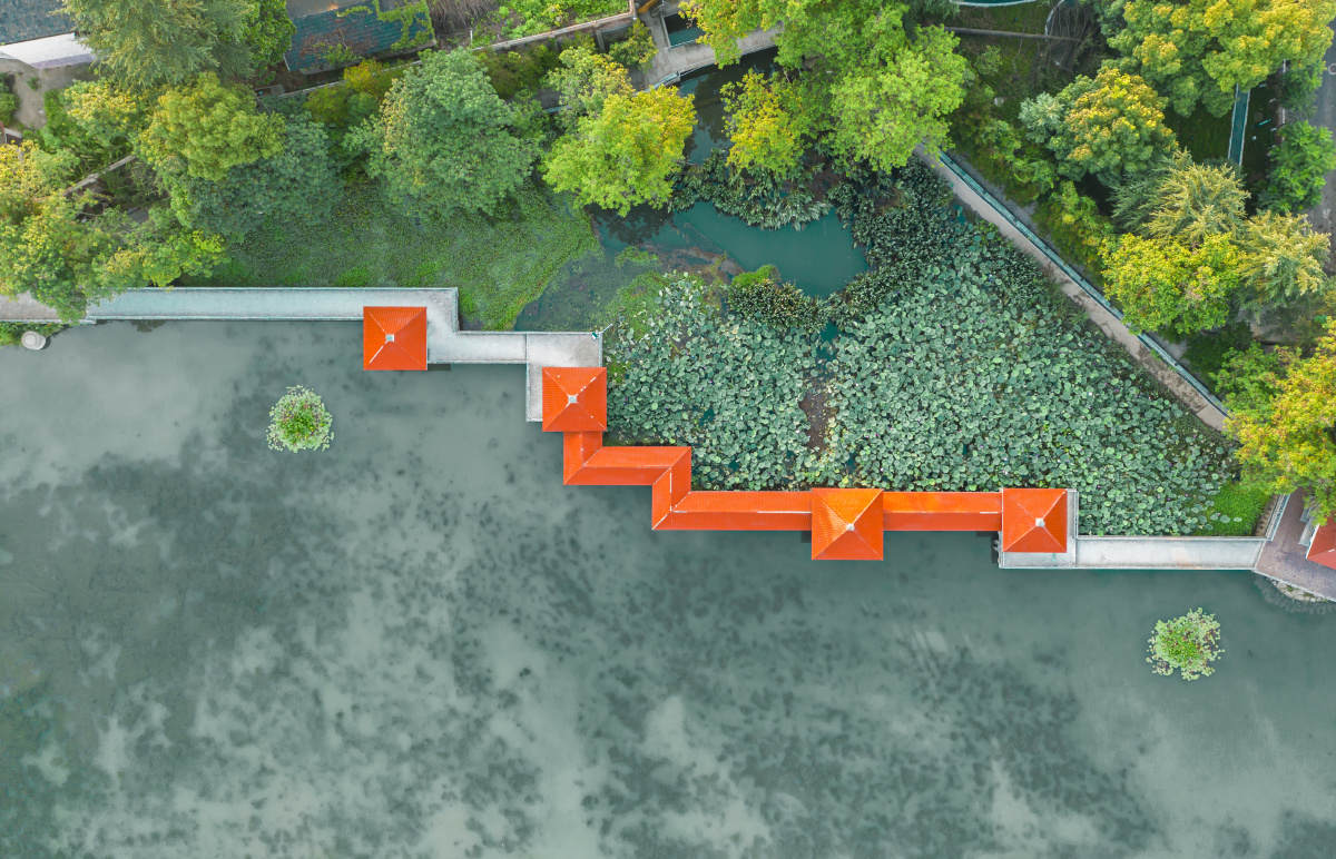 风吹荷叶长廊静航拍俯视湖中的荷叶与步行观荷长廊建筑与自然的和谐之