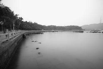 RAY_8284