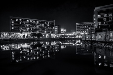 RAY_9832