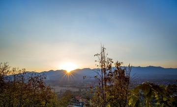 RAY_1373-2