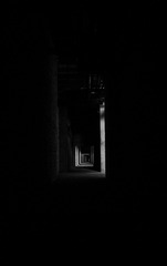 RAY_2746