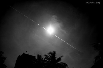 RAY_0135