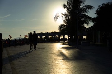 RAY_0018