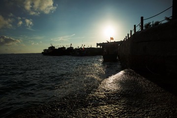 RAY_0014