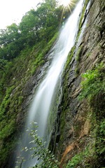 RAY_0976