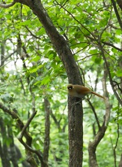 RAY_0686