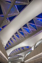 RAY_1764
