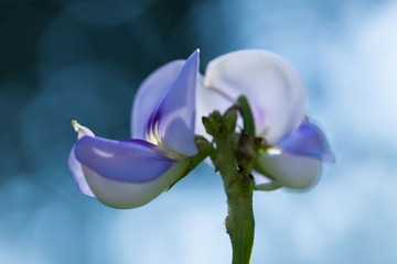 RAY_3272