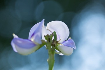 RAY_3269