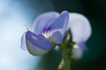 RAY_3264