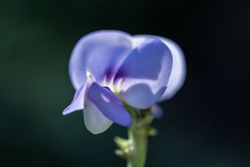 RAY_3255