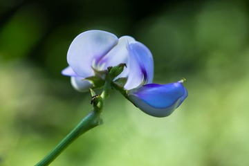 RAY_3251