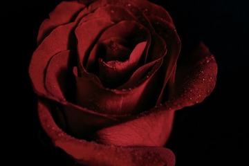 RAY_5107