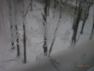 R0017791.JPG