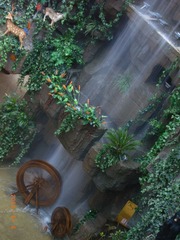 R0018595.JPG